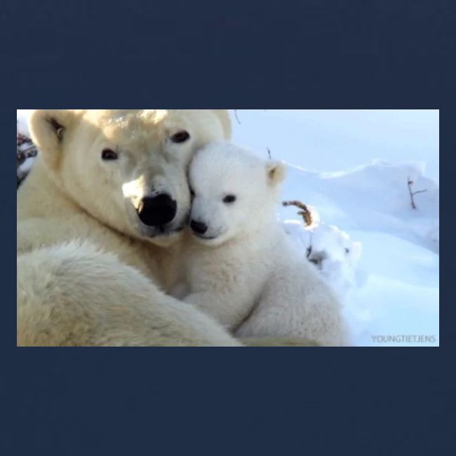 polarbearhug