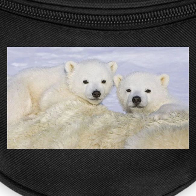 polarbears