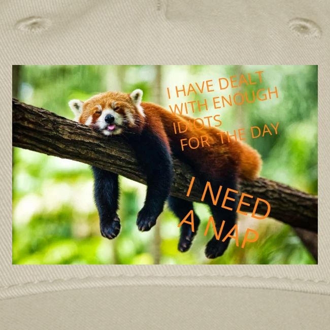 Fox napping meme