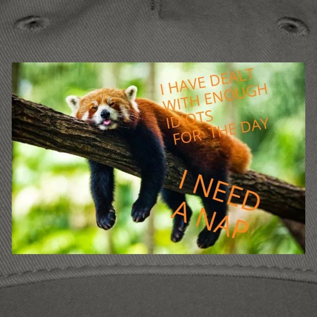 Fox napping meme