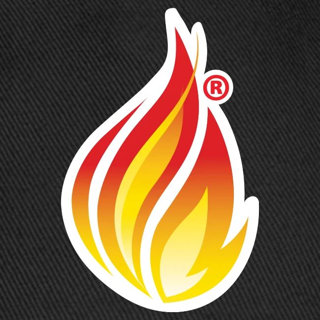 HL7 FHIR Flame graphic with white background