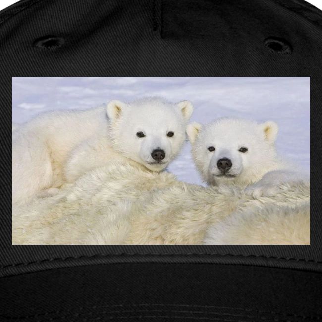 polarbears