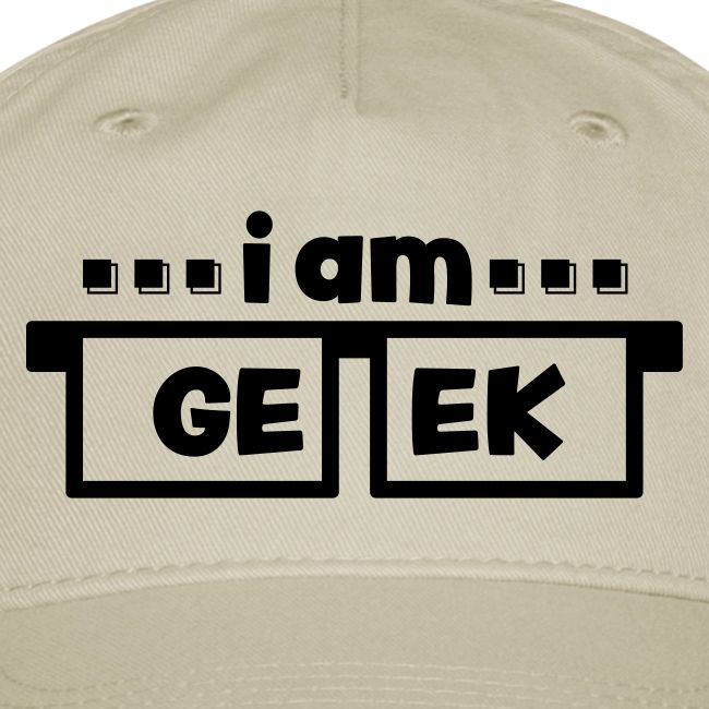 iamGEEK LOGO - Hat