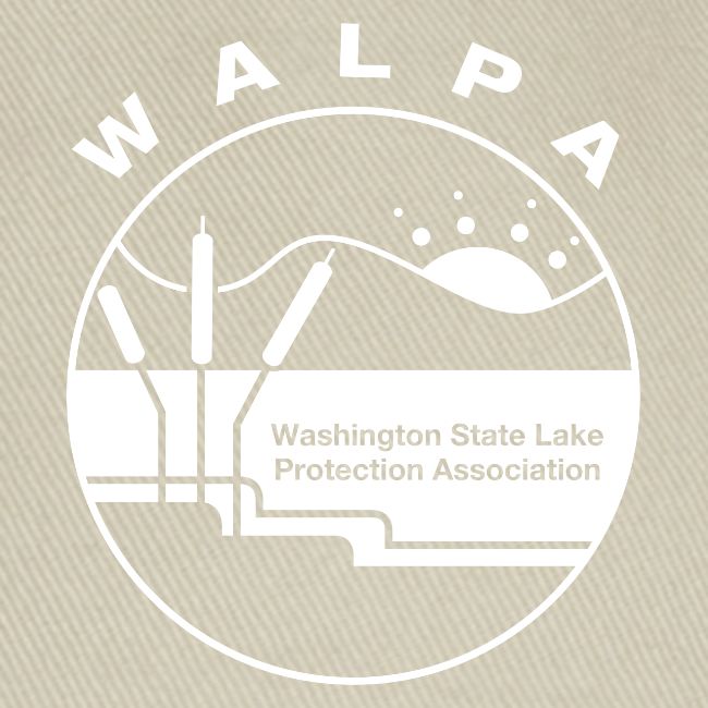 white logo