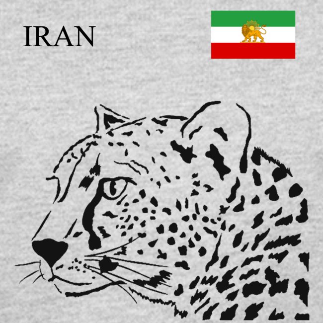 Iran, Sport