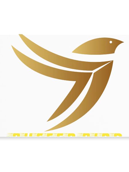 The stylized bird t shirts