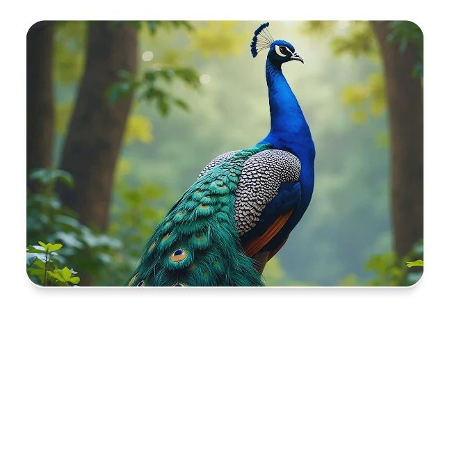 Majestic Peacock in Enchanted Forest