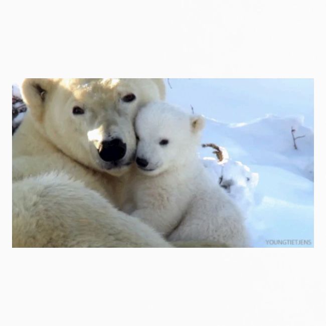 polarbearhug