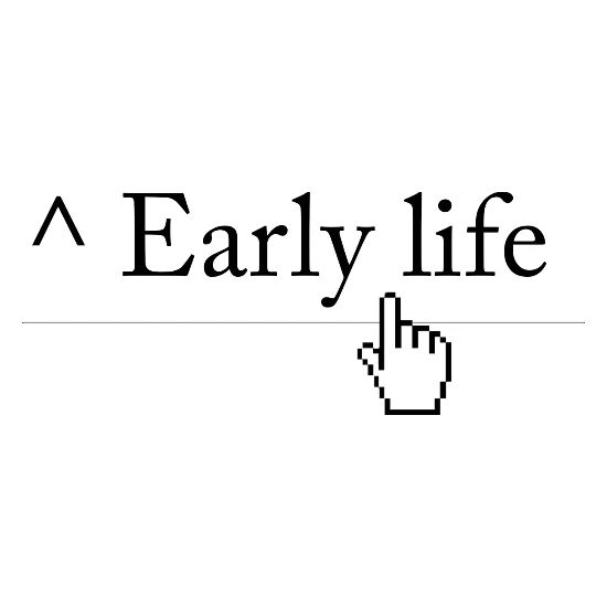 [Image: early-life-wikipedia-t-shirt-rectangle-magnet.jpg]