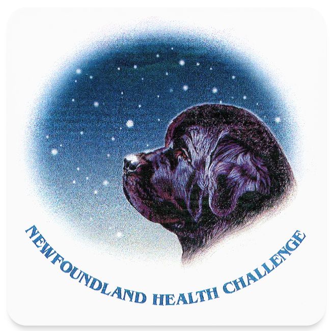 NCA Newfoundland Health Challenge Logo Gear