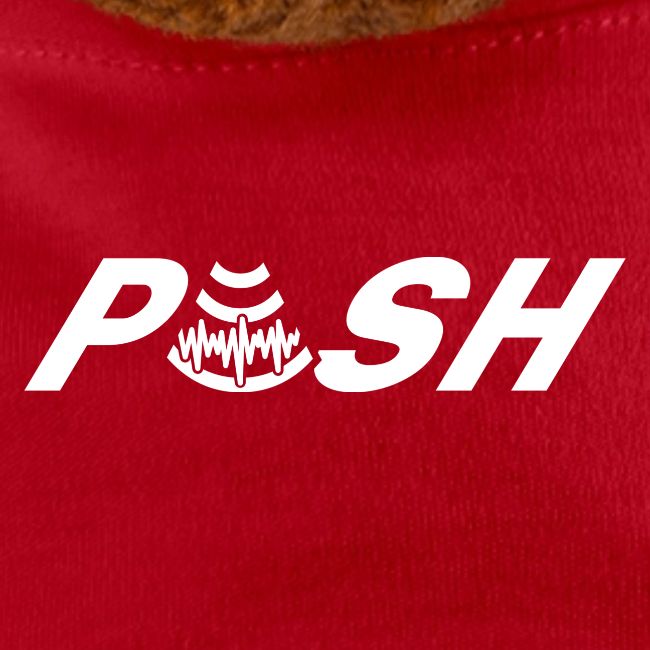 PUSH Simple Logo