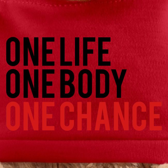 One Life One Body One Chance