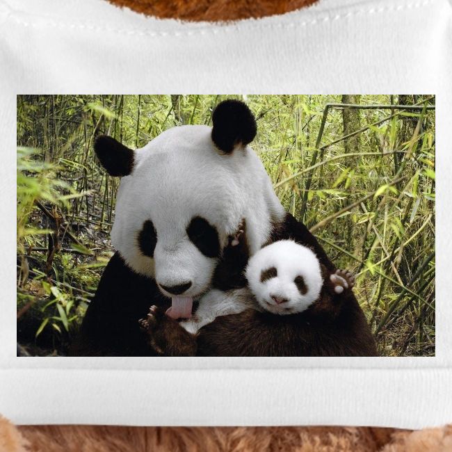 panda