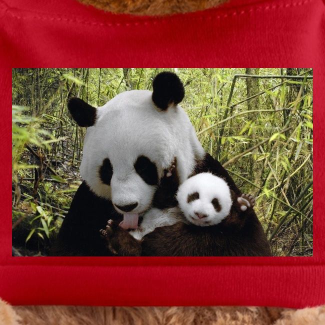 panda