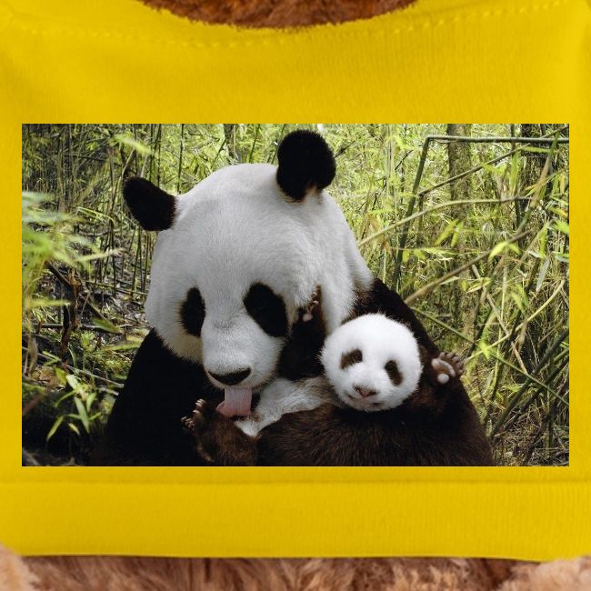 panda