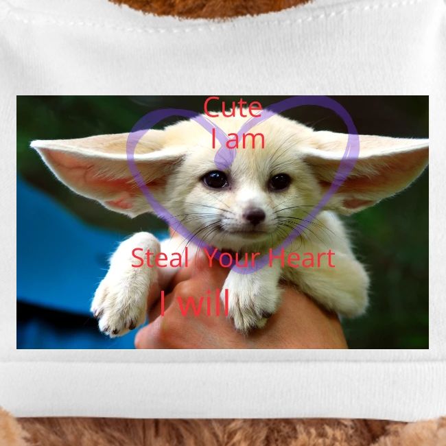 baby fox