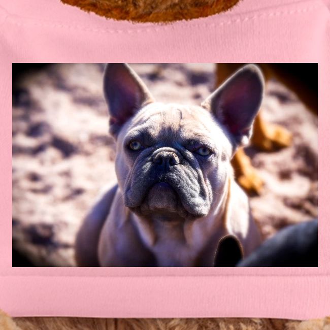 French Bulldog