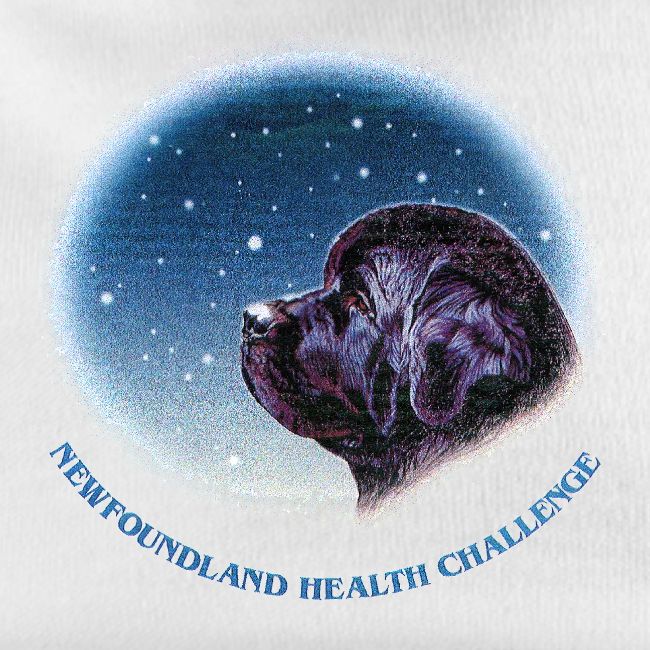 NCA Newfoundland Health Challenge Logo Gear