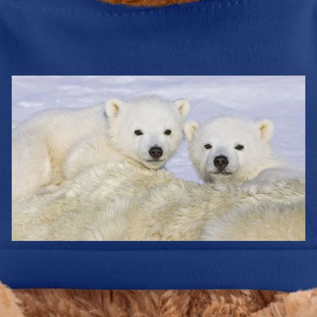 polarbears