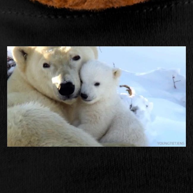 polarbearhug