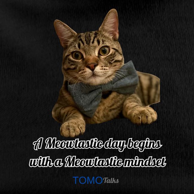Meowtastic Mindset