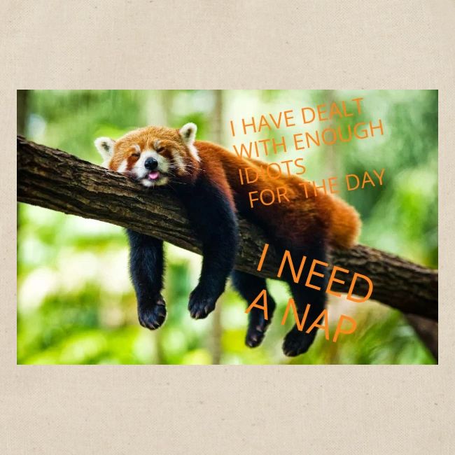 Fox napping meme