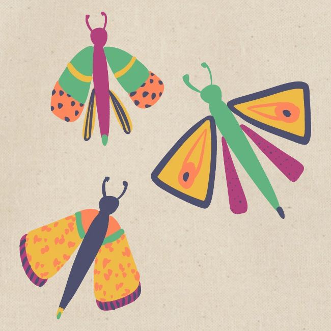 Bugs