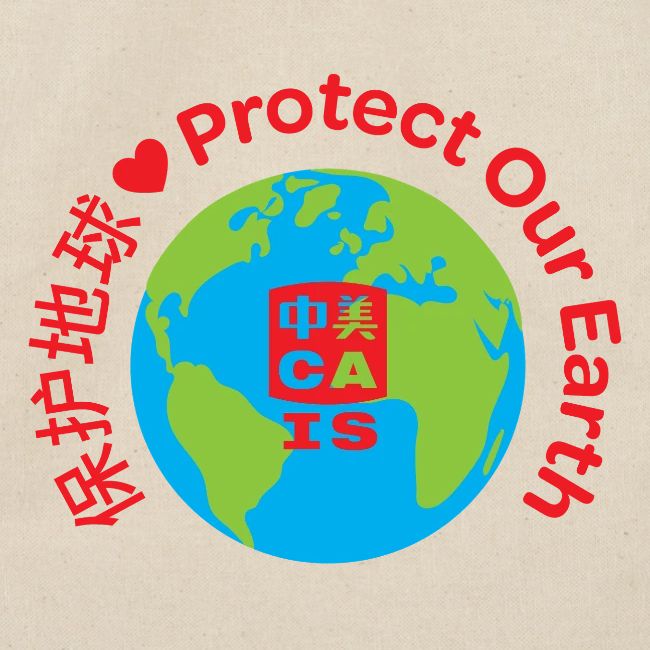 Earth with CAIS logo