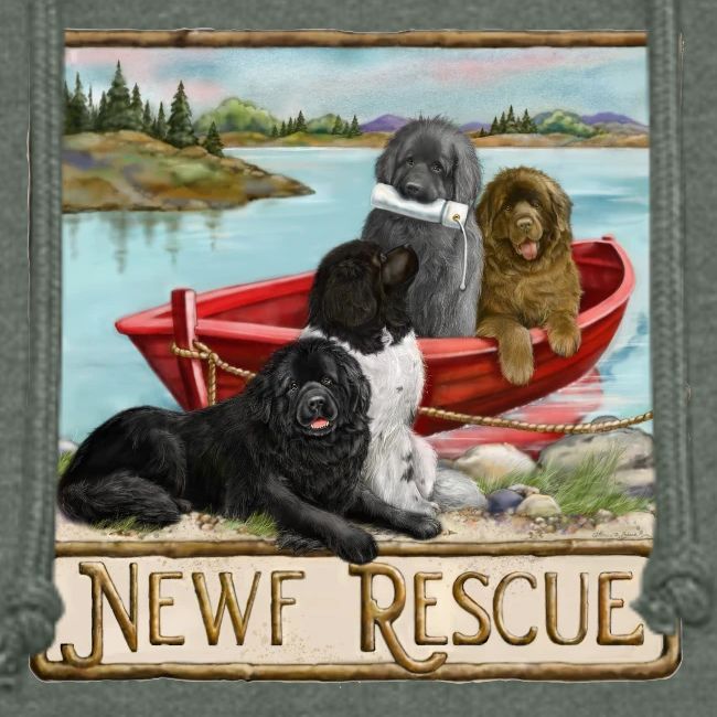 NCA Newfoundland Dog Rescue Gear
