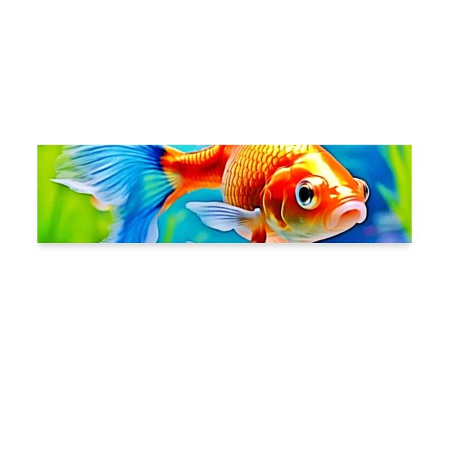 Colorful Tank Goldfish Design