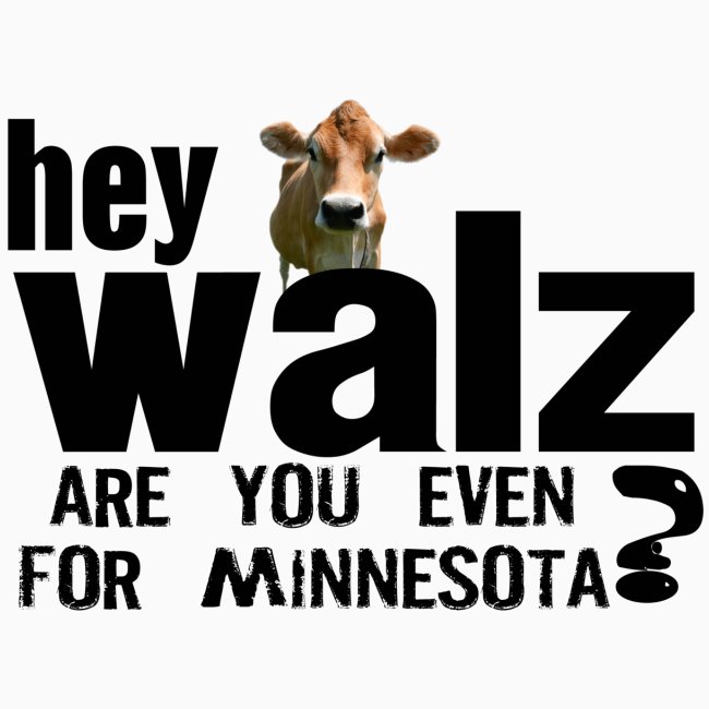 Walz Minnesota