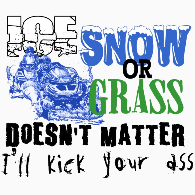 Ice, Snow or Grass - Snowmobile Raci