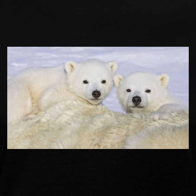 polarbears
