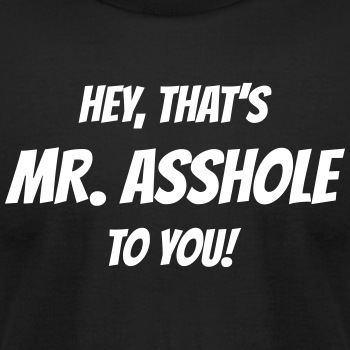 Hey, that's Mr. Asshole to you! - Unisex Jersey T-shirt
