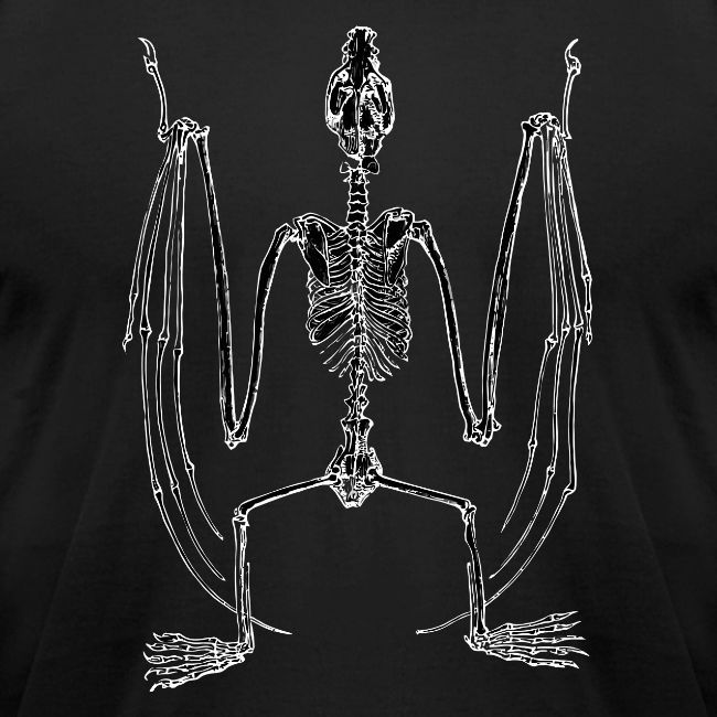 Bat Skeleton
