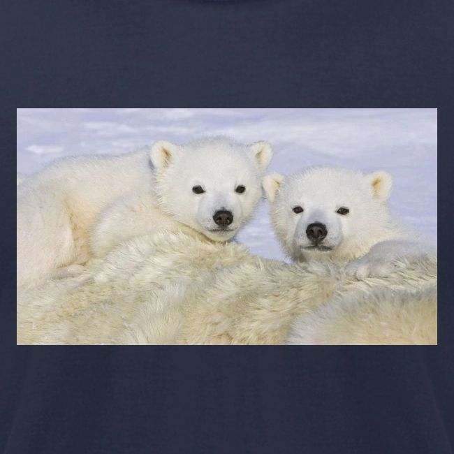polarbears