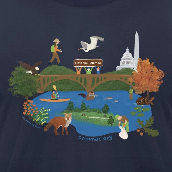 Icons of the Potomac