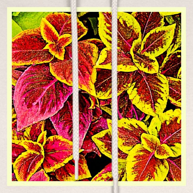 Coleus Leaf Burst Design