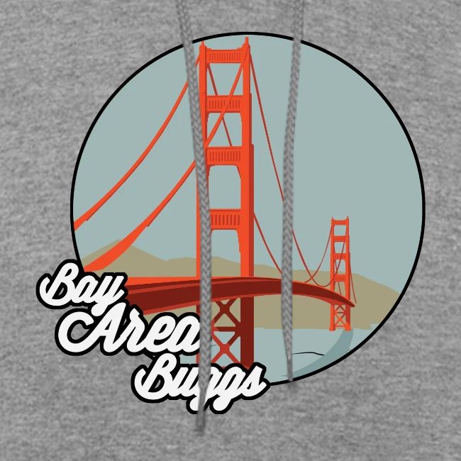 Bay Area Buggs Bridge Design