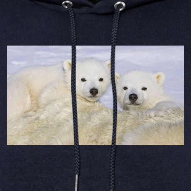 polarbears