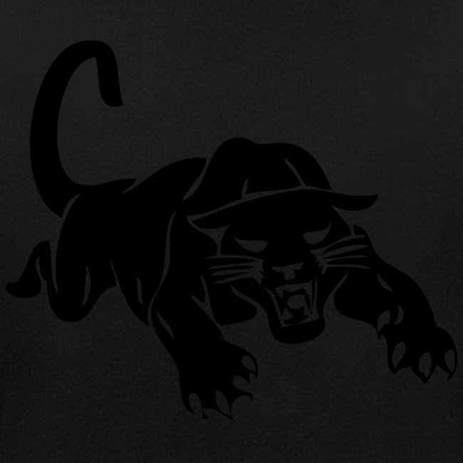 panthers sports team graphic