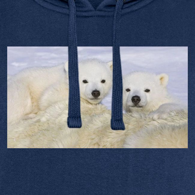 polarbears