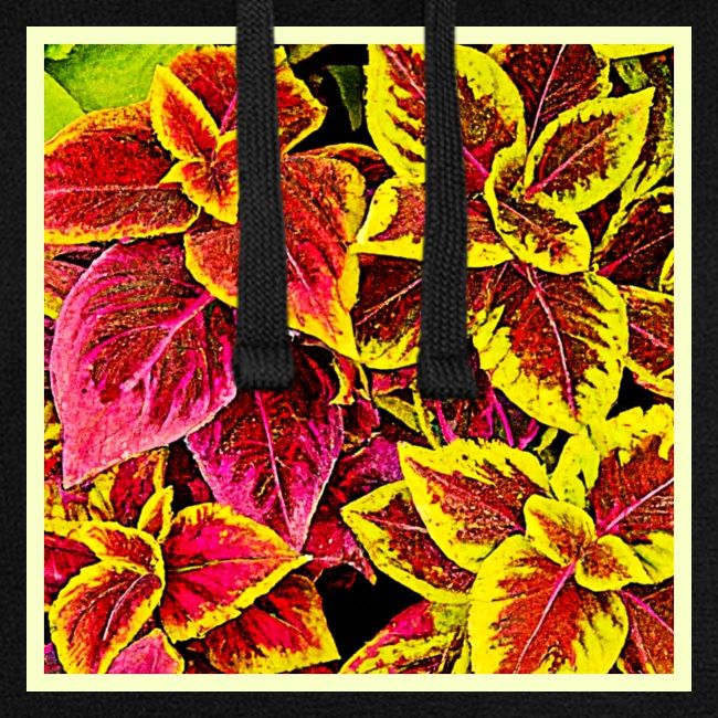 Coleus Leaf Burst Design