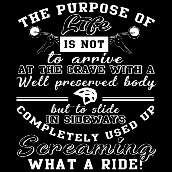 The Purpose Of Life Funny Biker T Shirt' Unisex Heavyweight Hoodie |  Spreadshirt