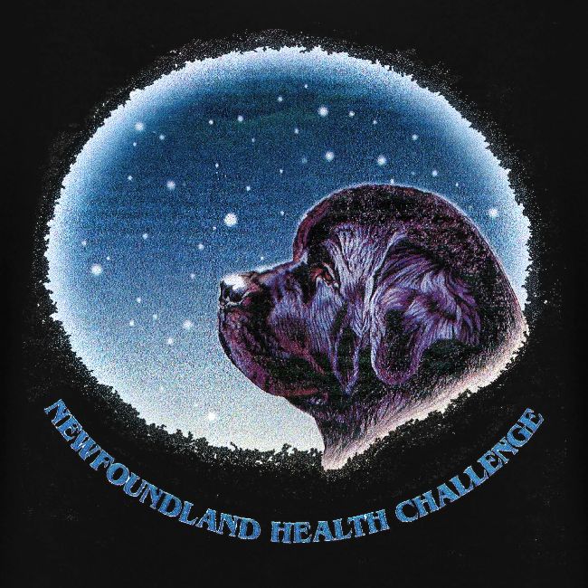 NCA Newfoundland Health Challenge Logo Gear