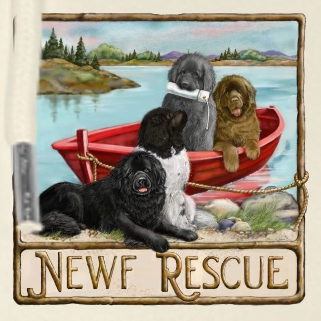 NCA Newfoundland Dog Rescue Gear