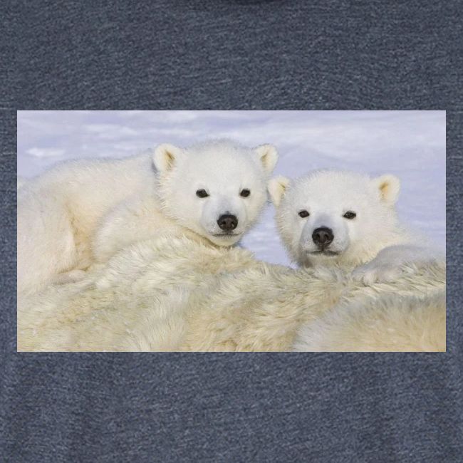 polarbears