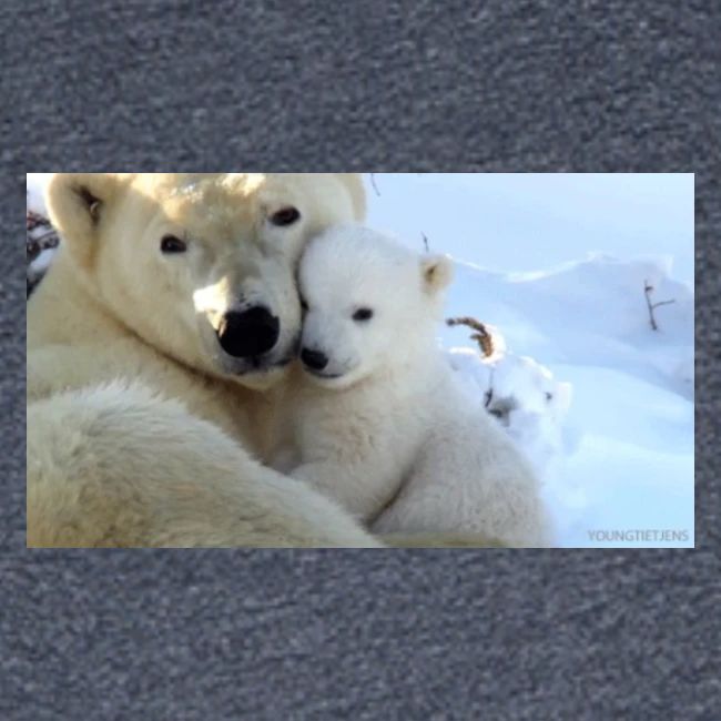 polarbearhug