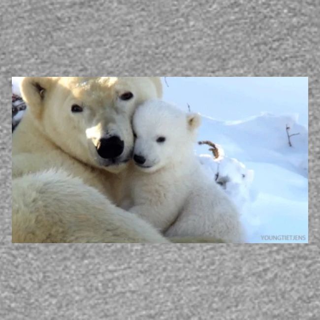 polarbearhug