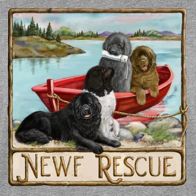 NCA Newfoundland Dog Rescue Gear